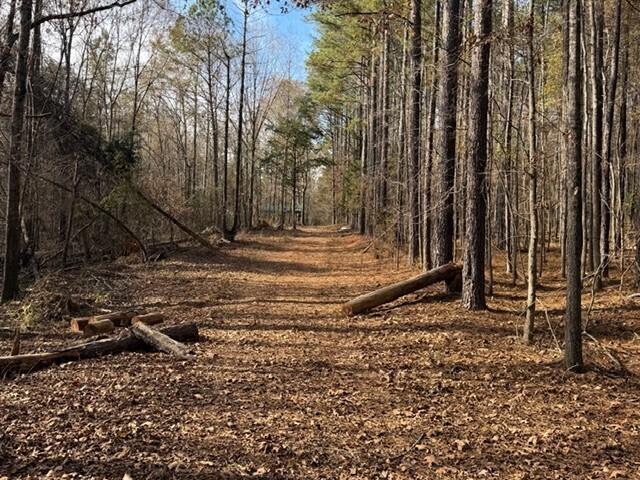 Land for sale in Talbot, Georgia