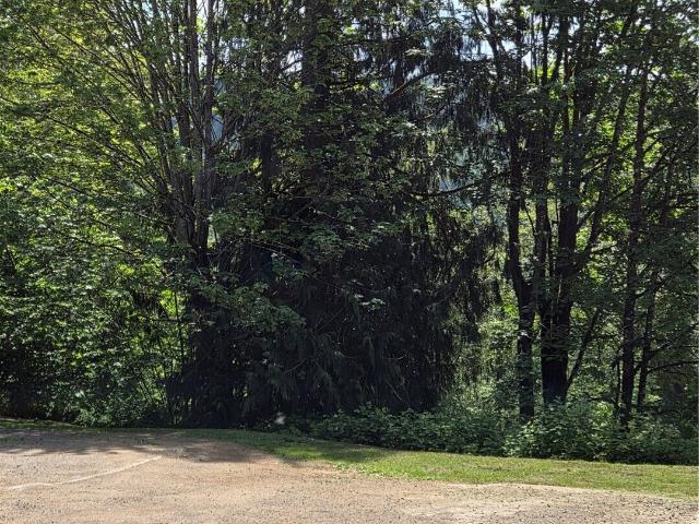 House for sale in Morton, Lewis County