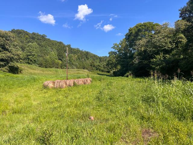 Land for sale in Manchester, Kentucky