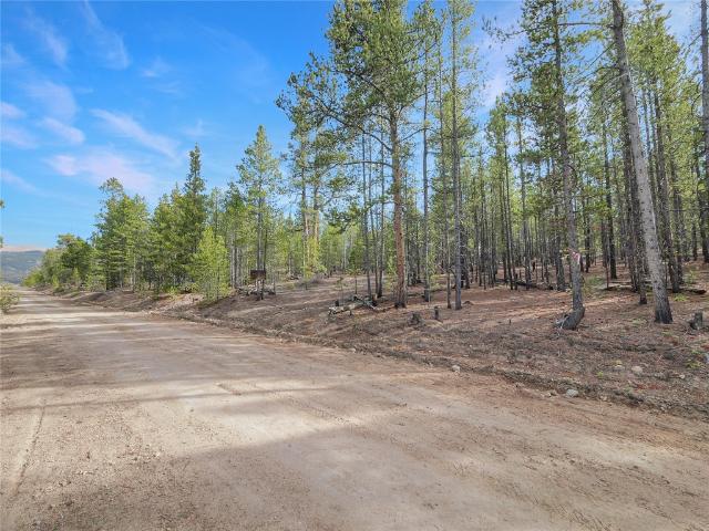 Land for sale in Twin Lakes, Colorado