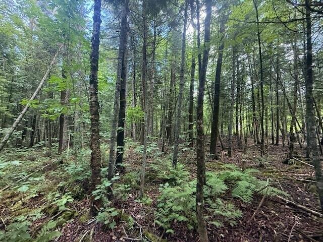 Land for sale in Caribou, Aroostook County
