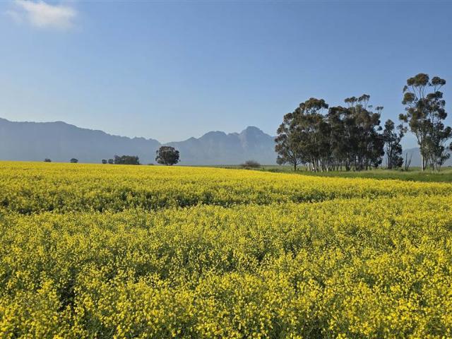 Farm for sale in Durbanville, Western Cape