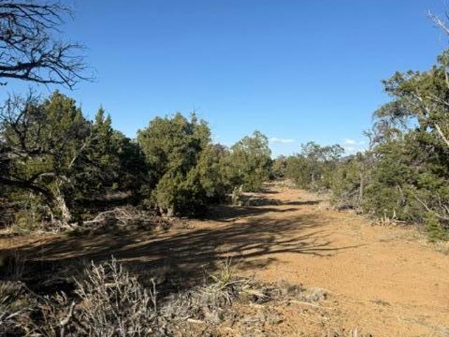 Land for sale in Ramah, New Mexico