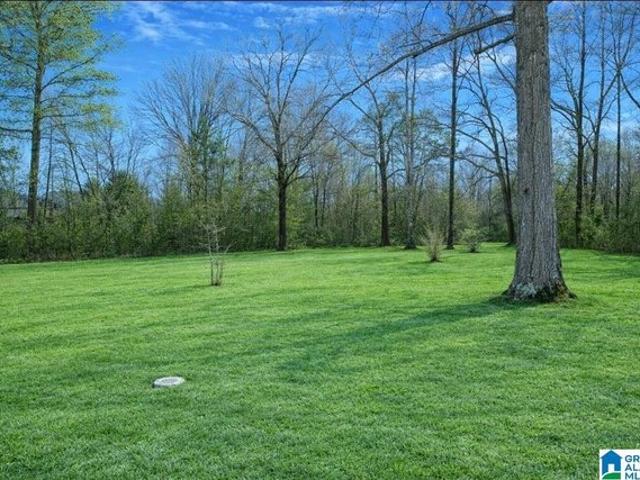 Land for sale in Sumiton, Alabama