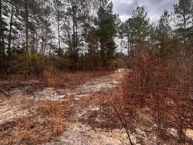 Land for sale in Cameron, North Carolina