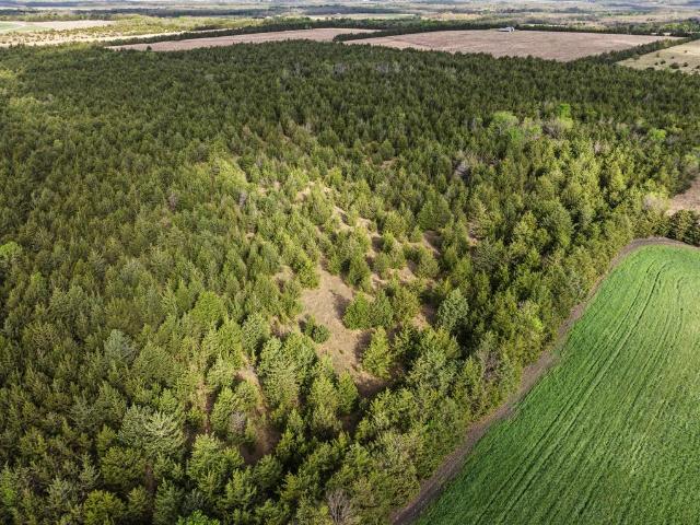 Land for sale in Delta, Texas