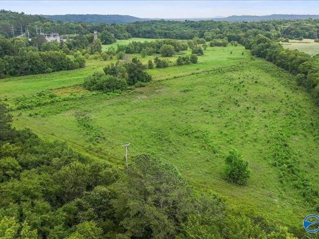Land for sale in Somerville, Alabama