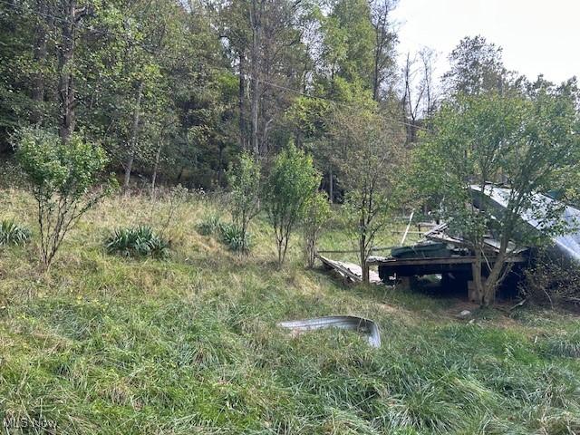 Land for sale in Ravenswood, West Virginia