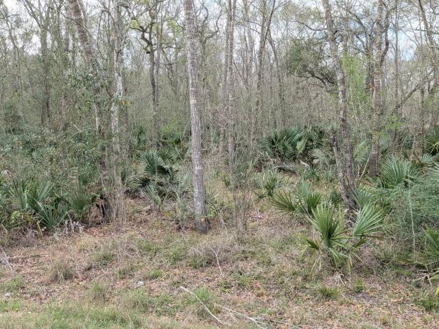 Land for sale in Sweeny, Brazoria County