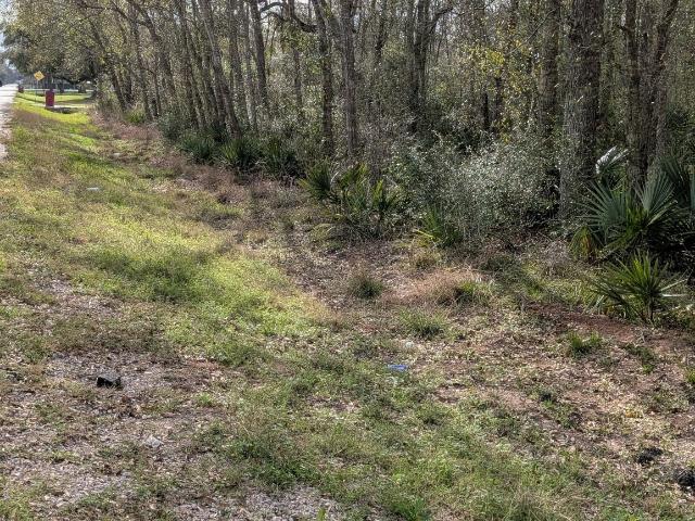 Land for sale in Sweeny, Texas