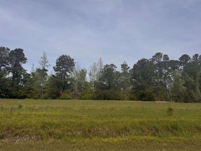 Land for sale in Green Sea, South Carolina