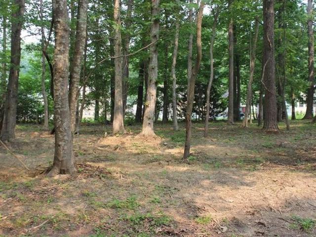 Land for sale in Virginia