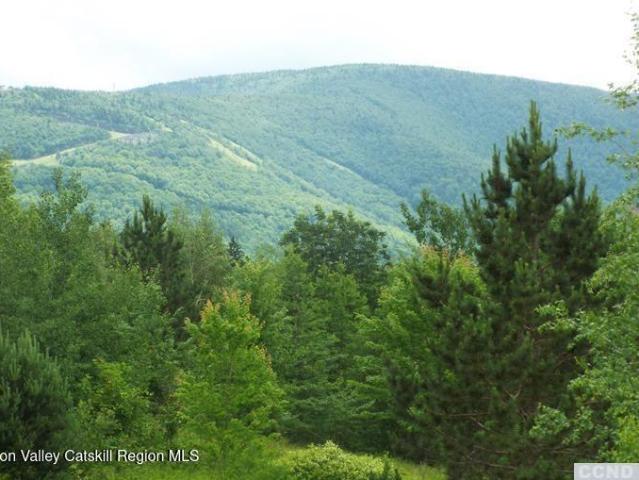 House for sale in East Jewett, New York