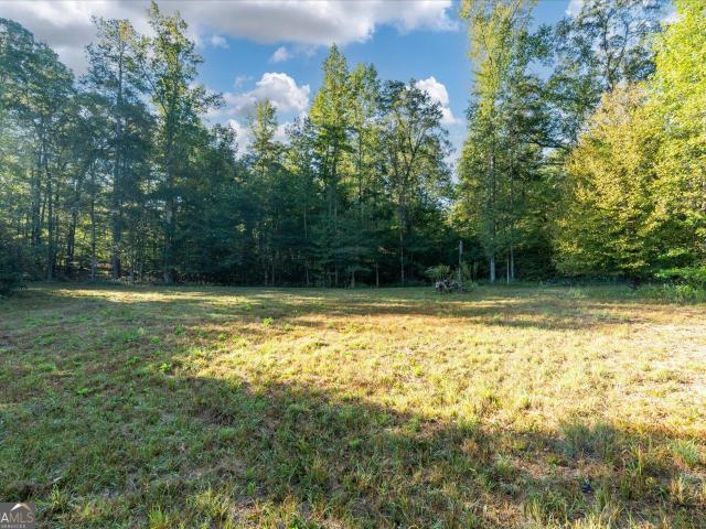 Land for sale in Franklin, Heard County