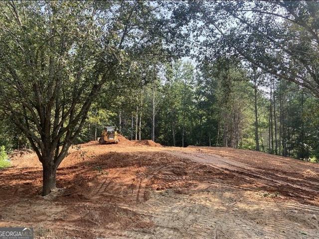 Land for sale in Clayton, Georgia