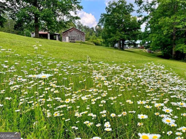 House for sale in Georgia