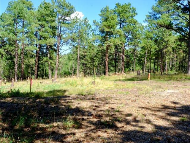 Land for sale in Colorado