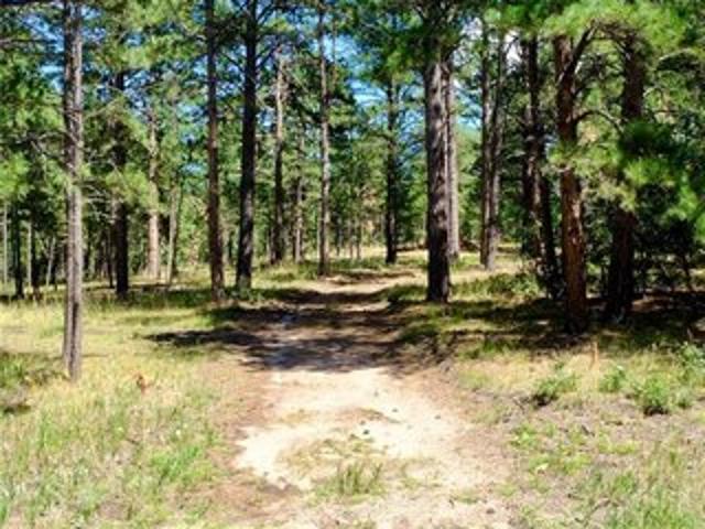 Land for sale in Colorado