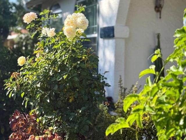House for sale in Saratoga, California