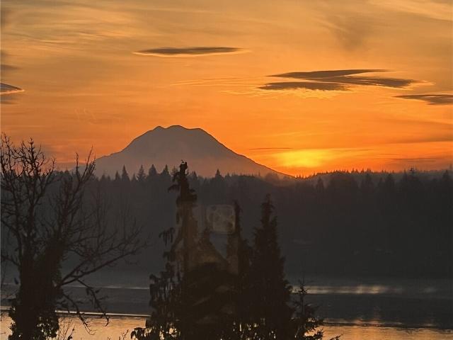 House for sale in Shelton, Washington