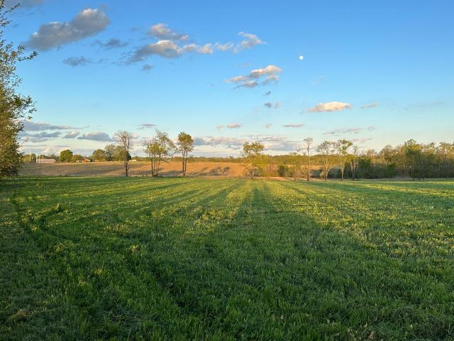 Land for sale in Carlisle, Kentucky