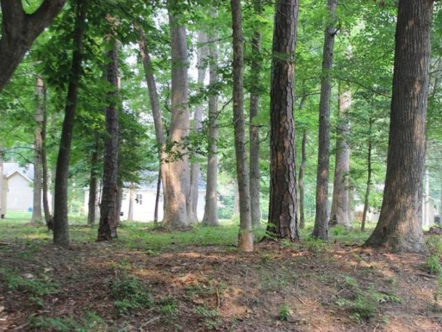 Land for sale in Virginia