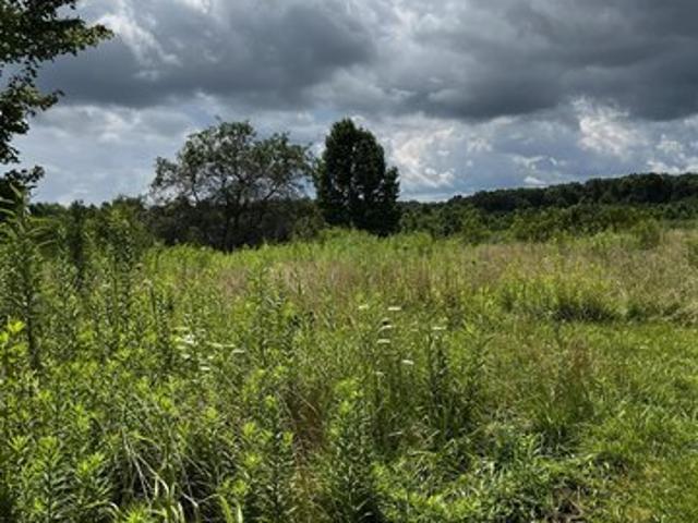 Farm for sale in West Liberty, Kentucky