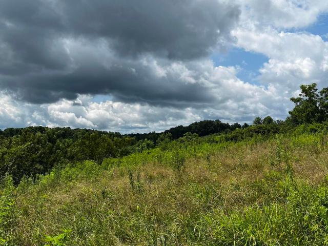 Farm for sale in West Liberty, Kentucky
