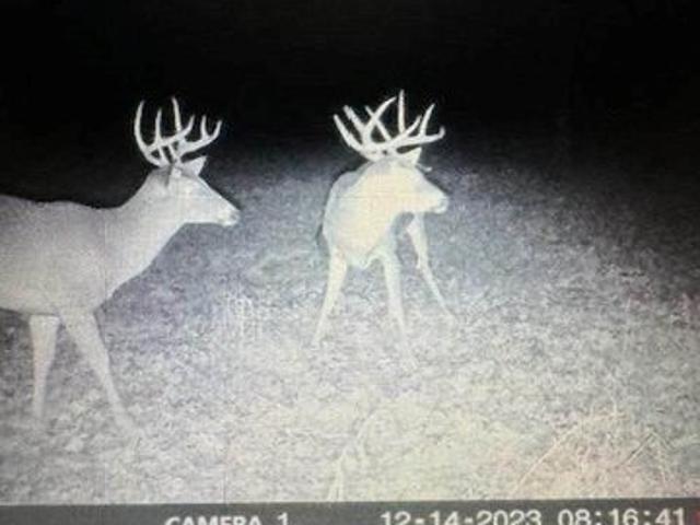Land for sale in Kansas