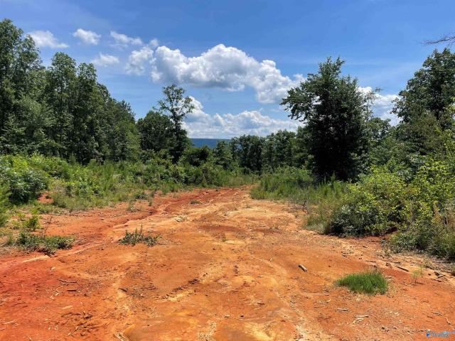 Land for sale in Etowah, Alabama