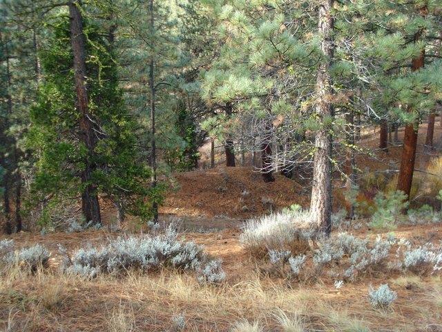 Land for sale in Portola, California