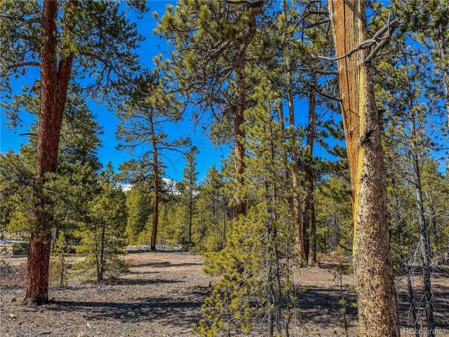 Land for sale in Colorado