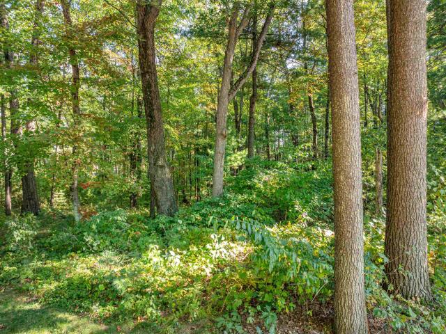Land for sale in Lake Delton, Sauk County