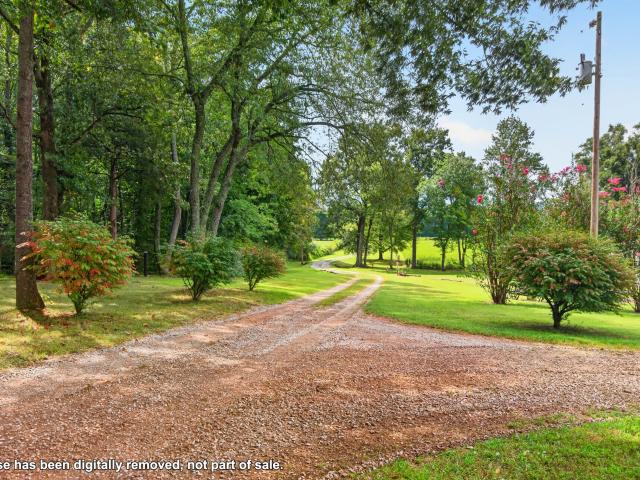 Land for sale in Pocahontas, Morrison
