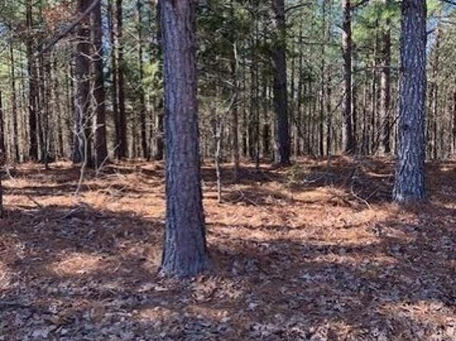 Land for sale in Fredericktown, Missouri
