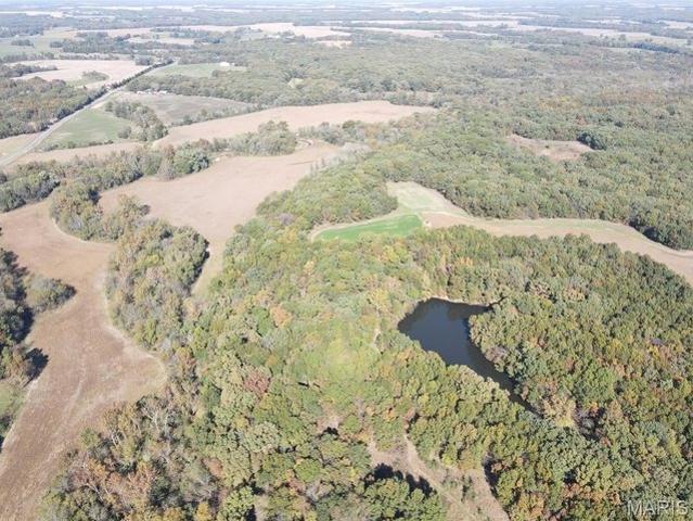 Land for sale in Monroe City, Monroe County