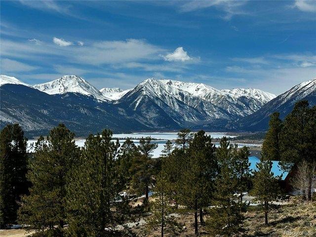 Land for sale in Twin Lakes, Colorado
