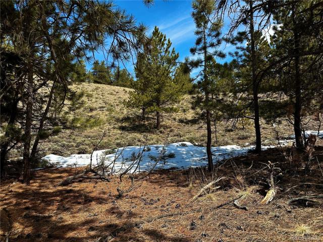 Land for sale in Twin Lakes