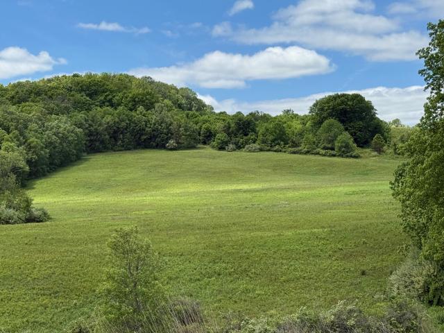 Land for sale in Pine Plains, New York