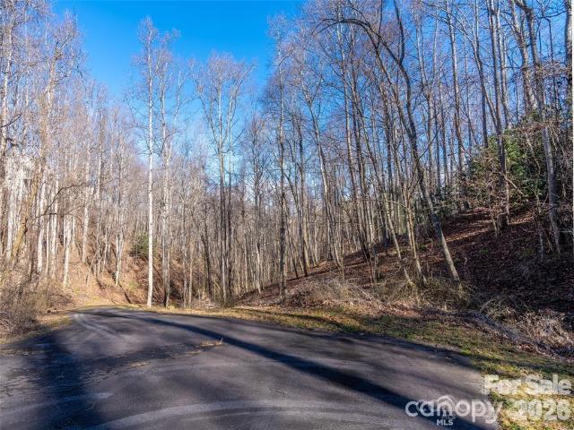 Land for sale in Fairview, North Carolina