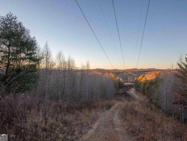 Land for sale in Morganton, Georgia