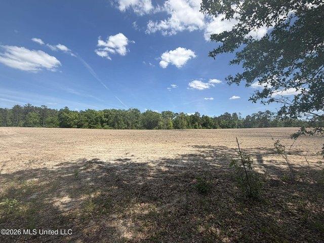 Land for sale in Lucedale, Mississippi