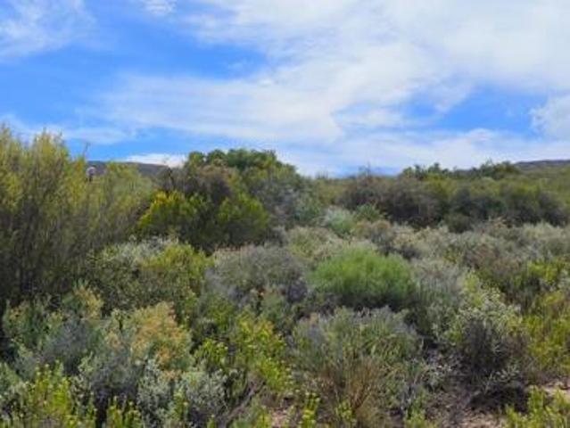 Land for sale in Groot Brak Rivier, Western Cape