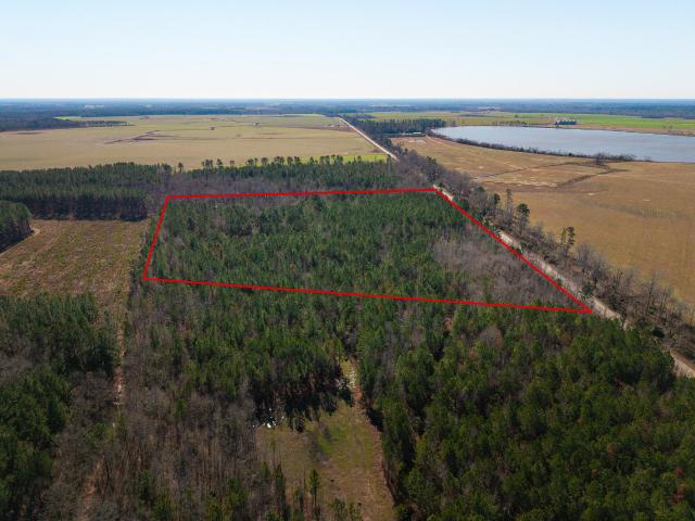 Land for sale in Midville, Georgia
