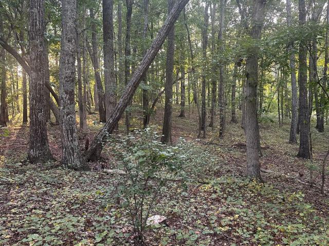 Land for sale in Palmetto, Coweta County