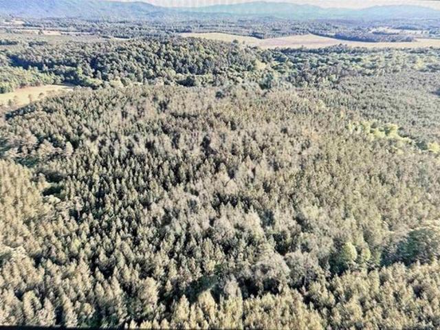 Land for sale in Piedmont, Calhoun County