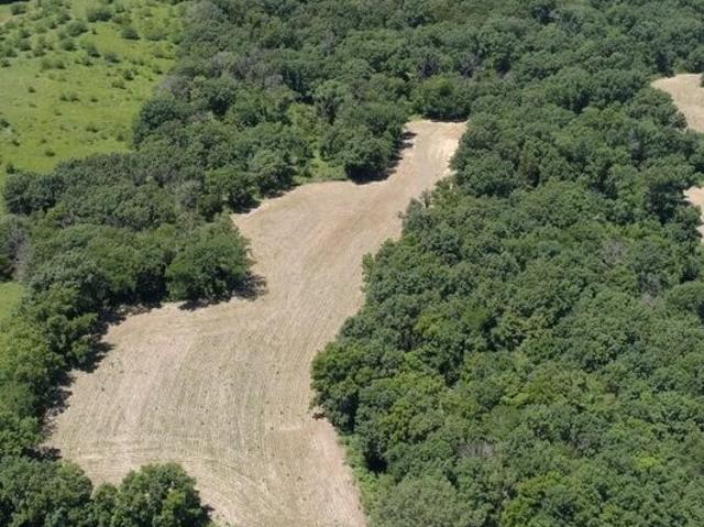 Land for sale in Fayette, Missouri