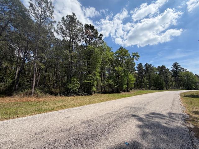 Land for sale in Walker, Texas