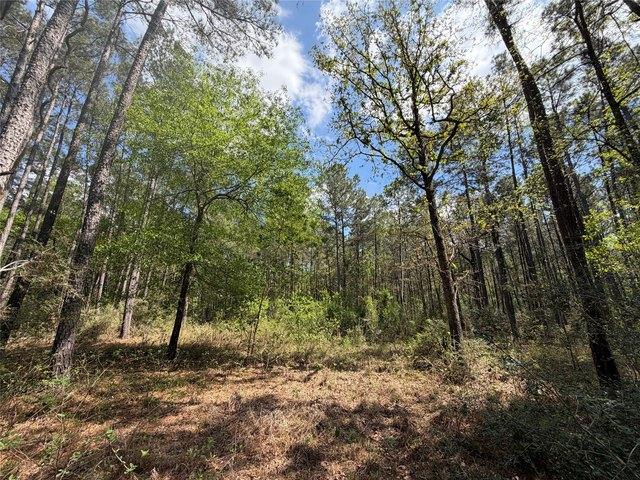 Land for sale in Walker, Texas