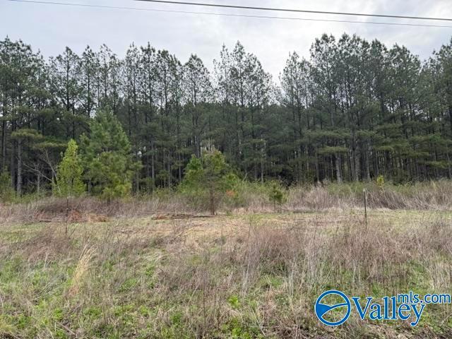 Land for sale in Flat Rock, Alabama